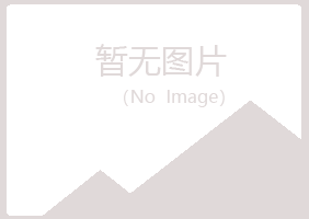 山西冰夏金属有限公司